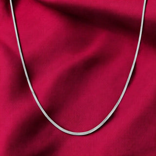 Silver Spring Coil Chain