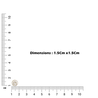 Amorphous Light Round Studs